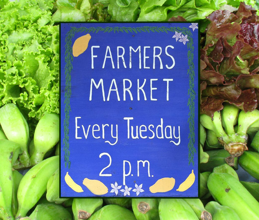 The Waipa Farmer's Market
