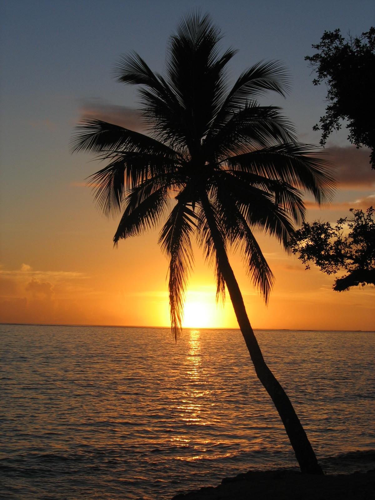 Salt Pond Park