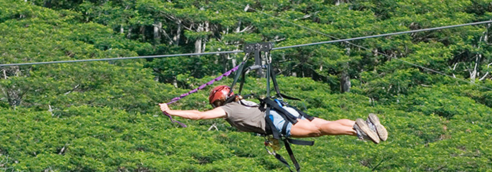 Ziplines on Kauai | Kid Friendly Activities | Oceanfront Rentals on Kauai