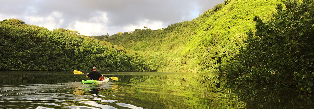 Kayaking the Wailua River | Kauai Activities | Oceanfront Rentals on Kauai 