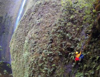 Scientist climbing cliff