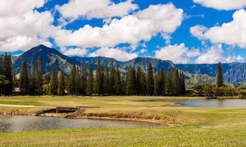 Princeville golf course