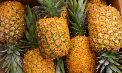 Pineapples
