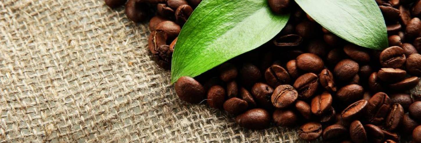 Chocolate & Coffee Festival