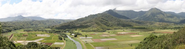 Hanalei Valley Lookout